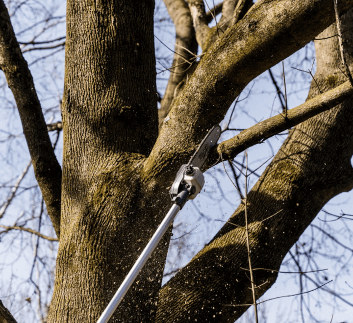 การตัดกิ่งไม้ด้วยเลื่อยตัดกิ่งไม้ไร้สาย ทําให้การตัดกิ่งไม้สะดวกและรวดเร็ว