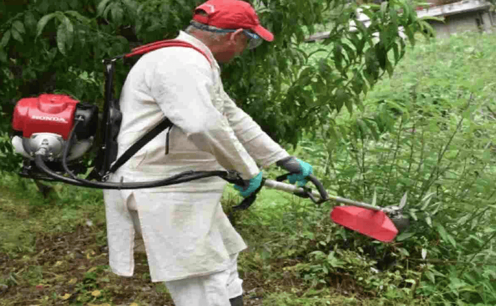 ตัดหญ้าเรียบสวยด้วยเครื่องตัดหญ้า 4 จังหวะ ประสิทธิภาพสูง