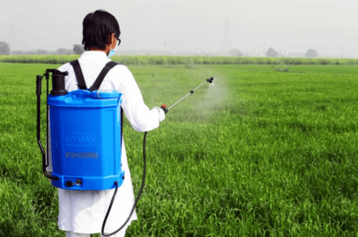 ชายใช้เครื่องพ่นยาแบตเตอรี่สะพายหลังในทุ่งนาเพื่อพ่นสารเคมี